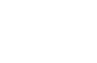 Triwie Logo
