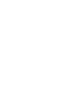 Industry Experience Icon